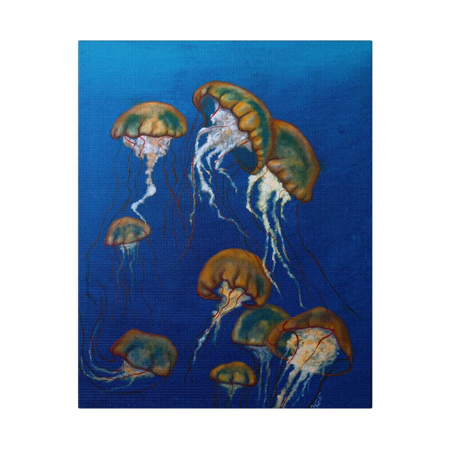 Jellyfish on Oil Matte Canvas