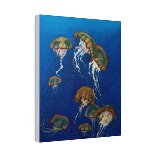 Jellyfish on Oil Matte Canvas